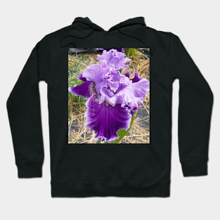 Iris Flower Purple Frilly Hoodie